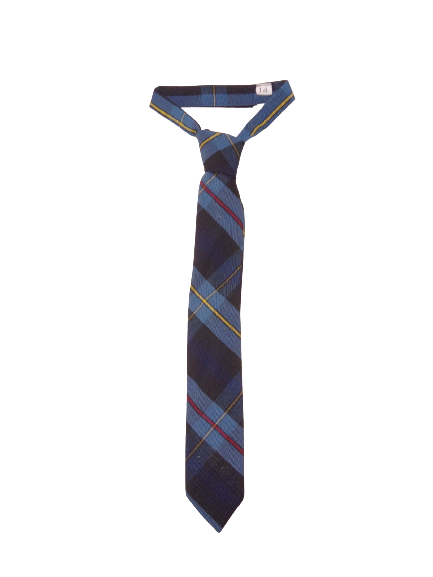 CORBATA PARA PRIMARIA COLEGIO FELIX NIÑO