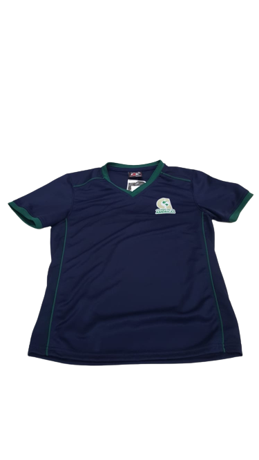 JERSEY PARA PRIMARIA COLEGIO DE LAS AMÉRICAS